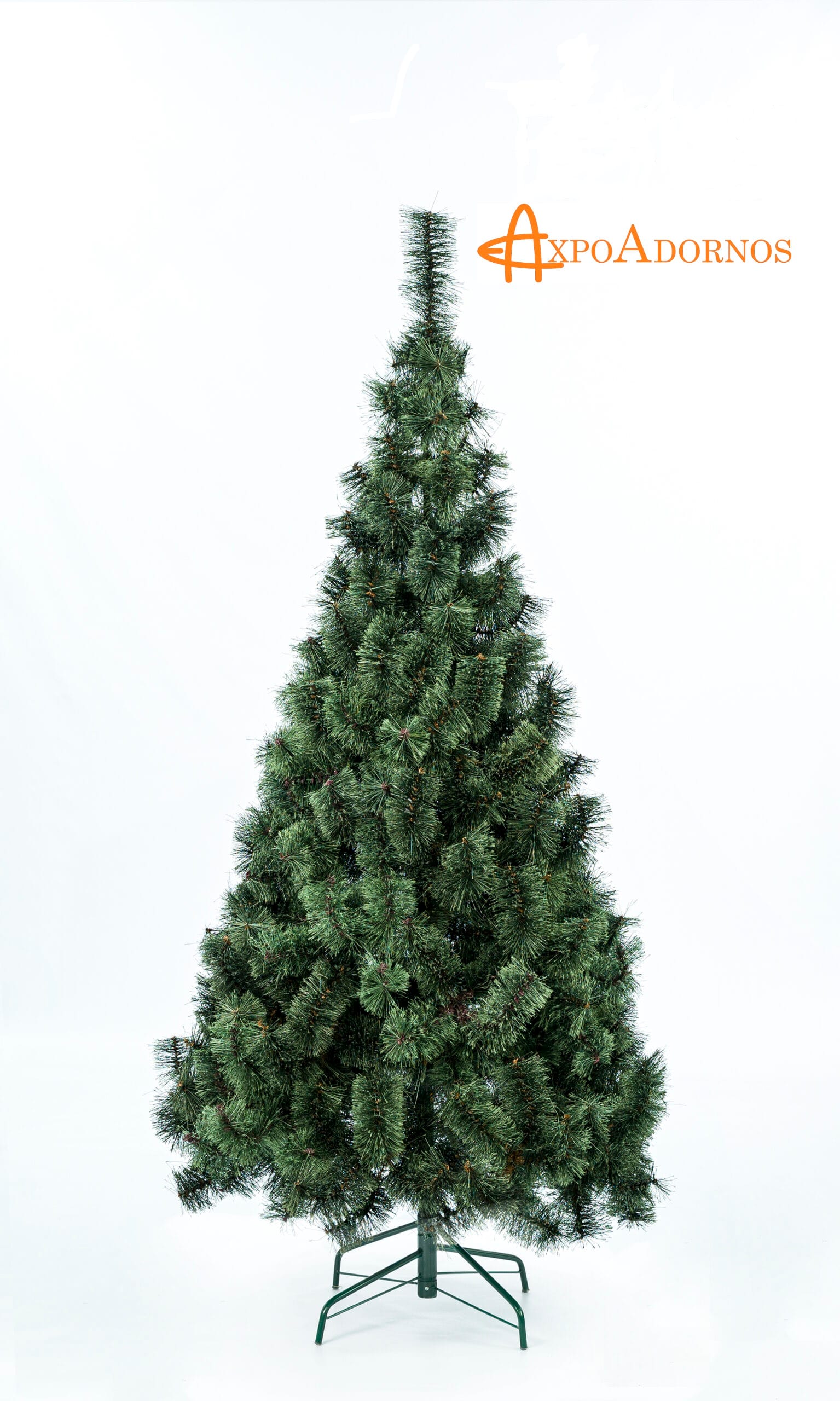 Árbol Fexton Veracruz